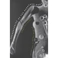 thumbnail image 1 of Pre-Owned Technologies of the Gendered Body: Reading Cyborg Women, 9780822316985, 0822316986, Paperback,, 1 of 1