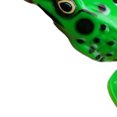 thumbnail image 2 of Eigraketly de rana de 5cm, anzuelo colorido, anzuelo de pesca, señuelo, pececillo, pez salmón, señuelo, trucha, cebo Artificial Pescar A, 2 of 6