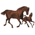thumbnail image 3 of CafePress - Chestnut Mare And Foal White T Shirt - Men's White Classic Cotton T-Shirts, 3 of 4