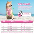 thumbnail image 2 of PoyPet Dog Harness and Leash Combo, Escape Proof No Pull Vest Harness, Reflective Adjustable Soft Padded Pet Harness with Handle for Small to Large Dogs, 2 of 7