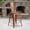 Copper, variant on Emma + Oliver 24"H Mint Green Metal/Wood Counter Height Stool with Back