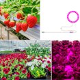 thumbnail image 4 of Planta de sincronización inteligente de espectro completo Flores Plántulas Luz solar USB Phytolamp Hugtrwg Para estrenar, 4 of 8