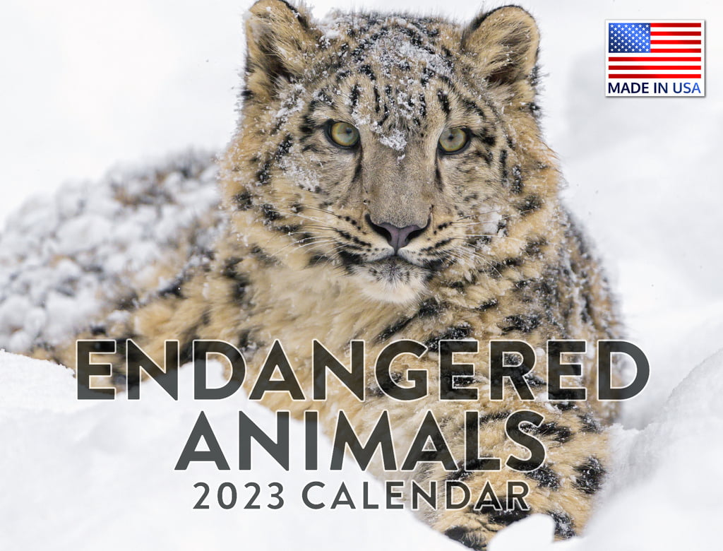 Endangered Animal Species Calendar 2023 Monthly Wall Hanging Calendars