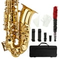 thumbnail image 2 of Tcbosik Stylish Mid-range Alto Drop E Lacquered Golden Saxophone Painted Golden Tube with Carve Patterns, 2 of 8