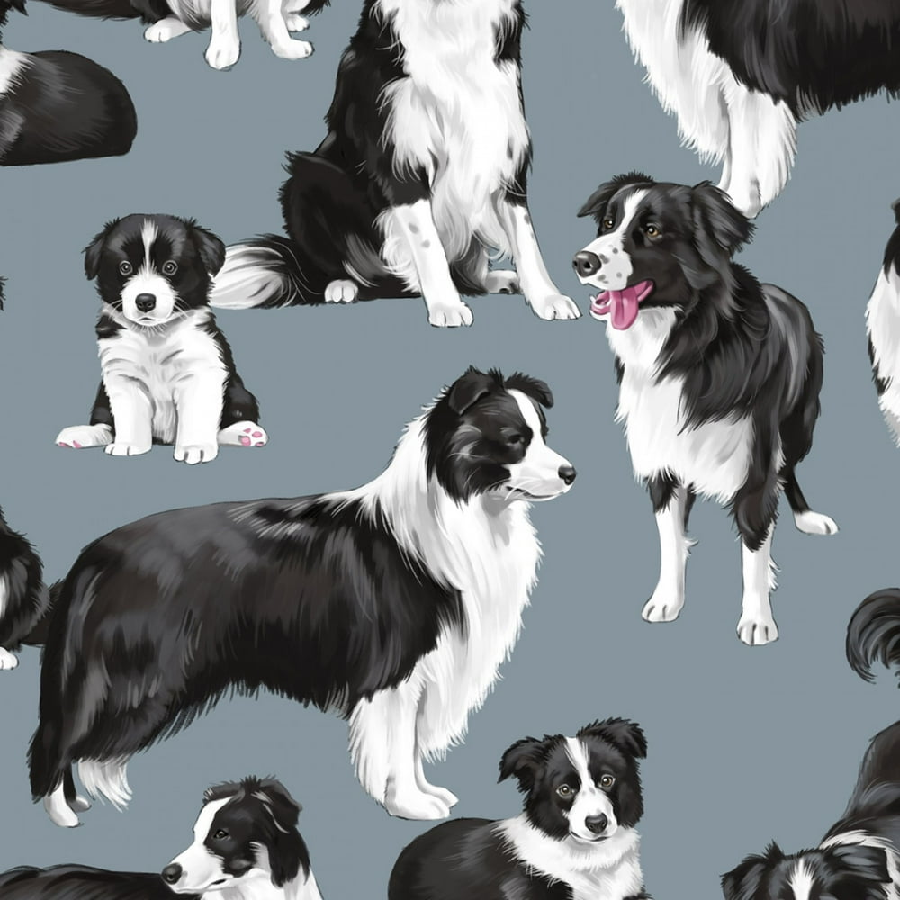 Timeless Treasures Dog Show Border Collies 100% Cotton Fabric by The