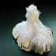 thumbnail image 1 of Etiquetas Fernando 500 piezas de precio de cadena, 1 of 8