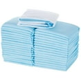 thumbnail image 1 of PTOOTP 50 piezas Almohadillas absorbentes para perros Almohadillas de entrenamiento para cachorros Pañales para perros Almohadillas gruesas para mascotas, 1 of 7