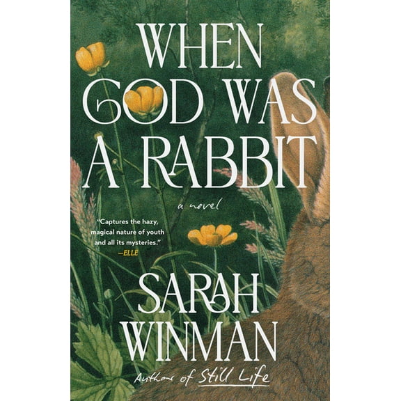 When God Was a Rabbit, (Paperback)
