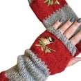 thumbnail image 3 of SPRING PARK Women Autumn Winter Bird Embroidered Thick Adjustable Gloves Knit Fingerless Color Block Mitten, 3 of 3