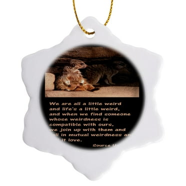 3dRose, Meerkats, We are a little Weird, 3 inch Snowflake Porcelain Ornament