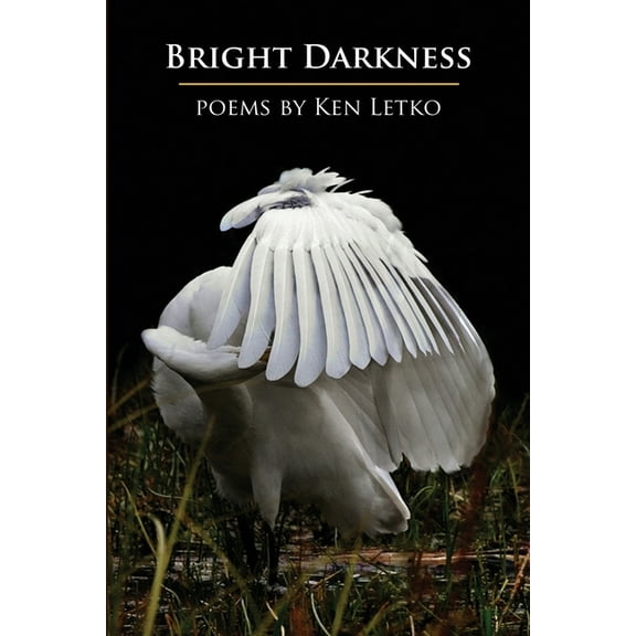 Bright Darkness, (Paperback)
