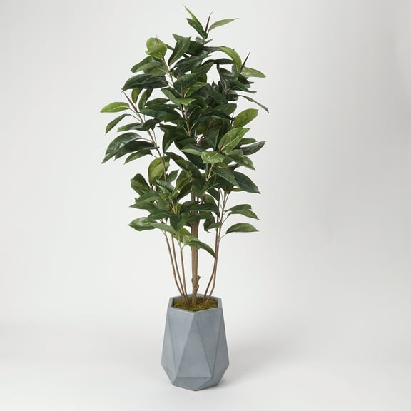 D&W Silks 6' Rubber Tree in Grey Resin Planter
