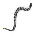 thumbnail image 2 of Juguetes De Serpiente Realistas, Figura De Serpiente De Cascabel De Goma, Estatuilla De Vida Silvestre Realista Estática Para Jardín, Accesorios De Broma Para Niños ANGGREK Realistic Snake Toys, 2 of 7
