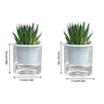 thumbnail image 2 of Pots à Fleurs Auto-Arrosage, Pots de Plantes pour Intérieur, Hydratant Automatique, Pot de Fleurs Transparentes pour les Plantes d'Intérieur et d'Extérieur, 2 of 10