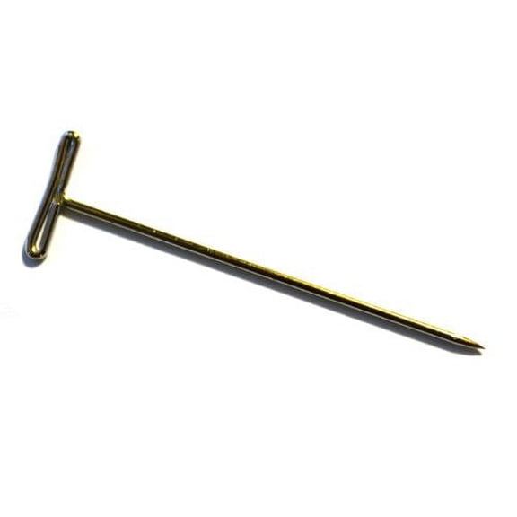 Eisco Labs Nickel Plated Dissection T-Pins - 2" (Pack of 100)