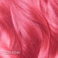thumbnail image 4 of L'Oréal Paris Colorista Semi Permanente Hair Color, 4 of 7