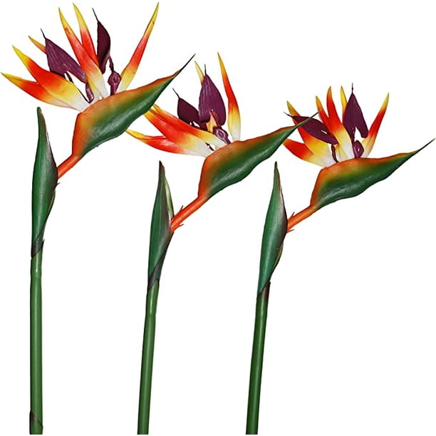 Aves artificiales del paraíso Flores de goma Strelitzia 32'in Flor de tallo largo 3 piezas, adecuado para la decoración del hogar de bricolaje Exhibición del tema de la fiesta (rojo naranja) JAMW Sencillez