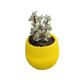 thumbnail image 4 of unbranded Maceta Decorativa De Resina Para Plantas Pequeñas Suculentas Y Cactus En El Hogar, 4 of 8