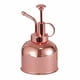 thumbnail image 5 of Cateissary Regadera de 300ML, rociador de jardín de acero inoxidable a presión para plantas de flores, herramientas de plantación de jardín para Almacenamiento y organización del hogar Cateissary HA023111-00, 5 of 6