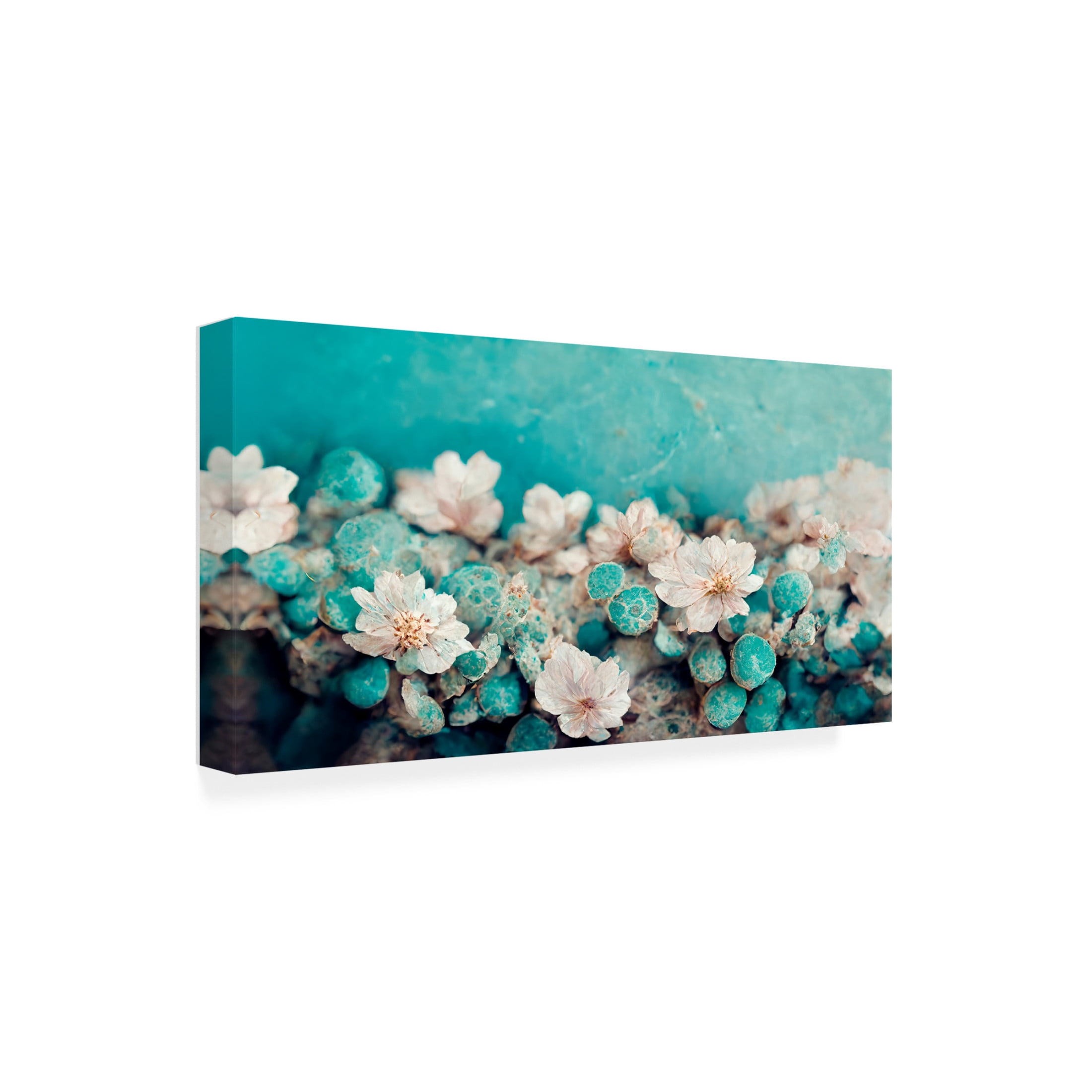 Canvas Wall Art - Treechild 'Turquoise Buds' Wall Art for Living Room, Bedroom, or Office D?cor by Trademark Fine Art - 24 x 12 Inches