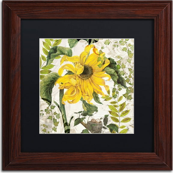 Trademark Fine Art "Carina II" Canvas Art by Color Bakery, Black Matte, Wood Frame