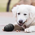 thumbnail image 5 of Jouets pour Chiens Gourdes Fuites de Nourriture Casse-Tête Résolution Chiot Adulte Dressage Interactif Anti-Stress, 5 of 5