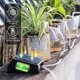 thumbnail image 5 of Dispositivo Riego Automático Flores Con Temporizador Solar Dispositivo Riego Jardinería Riego Por Goteo para Plantas en Macetas Con Flores Perezosas (B) Juego 15 Flechas Caída, 5 of 8