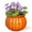 Pumpkin Orange, variant on BUYMAX 8 inch African Violet Pots – Ceramic Easy Self Watering Plant Pot for Busy Plant Lovers,Modern Decor White Flower Pots