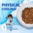 thumbnail image 6 of All For Paws Chill-Out Cooling Pet Feeder for Dogs & Cats, 500 ml Cooler Bowl, 6 of 9