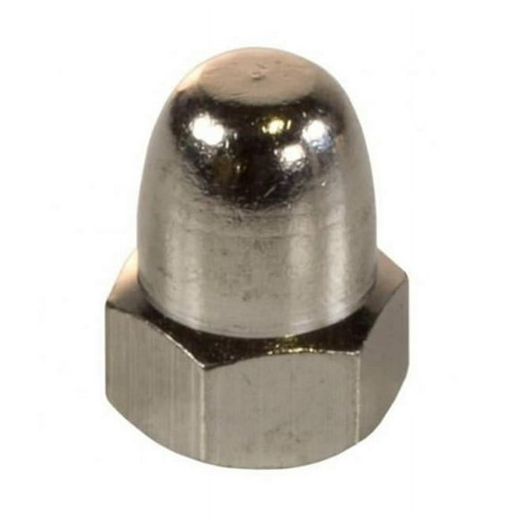 Pentair Water Pool & Spa 071413 Acorn Pool Nut