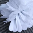 thumbnail image 3 of PAMINGONO 18PCS Paper Pompom Decor Wedding and Party Decorations, 3 of 8