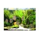 thumbnail image 2 of Fondo de acuario 3D ( y hierba) Decoración de imagen de SG Yuyangstore Vinilo decorativo pecera, 2 of 8