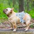 thumbnail image 6 of Dog Diapers Female Washable Sanitary Pantie with Adjustable Suspender, Reusable Doggie Diapers for Male Dogs in Heat, Cotton Puppy Pet Period Panties Dog Underwear, 6 of 6