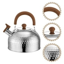 Luxshiny Silver Stainless Steel Tea Kettle for Stovetop with Loud Whistle and Easy Clean