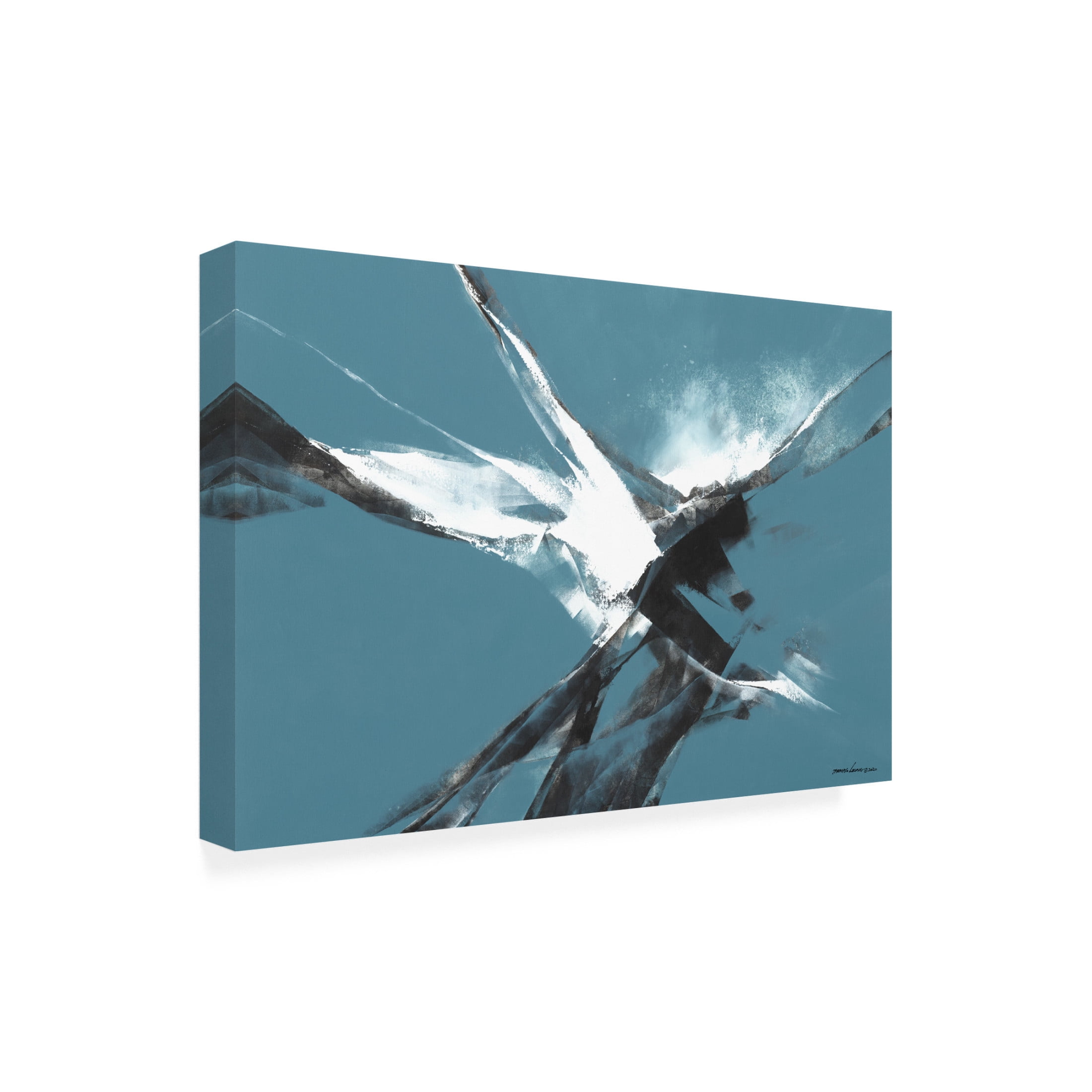Canvas Wall Art - Thomas Leung 'Explorations II' Wall Art for Living Room, Bedroom, or Office Décor by Trademark Fine Art - 32 x 22 Inches