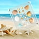 thumbnail image 1 of Caja de Exhibición Magnética Acrílica con Forma de Concha Marina, de 5,6 X 5,6 Pulgadas, Gran Tamaño, Decorativa, para Guardar Conchas Marinas, Pequeñas Organizadoras., 1 of 7