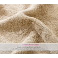 thumbnail image 3 of FBTS Prime Cotton Hand Towels 16x31 inch Extra Soft, Solid Brown 2 per Pack, 3 of 6