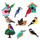 thumbnail image 3 of Juego de costura artesanal para , de fieltro y pájaros, animales de peluche, costura de guardería para , costura de animales para , Pájaro Macarena juguetes de costura, 3 of 8