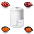 thumbnail image 1 of de eléctrica USB, cortadora de trituradas, verduras, jengibre, carne, chile, , trituradora, cortadora, licuadora, herramient Blanco 250ml BLESIY Picadora de ajo eléctrica, 1 of 8