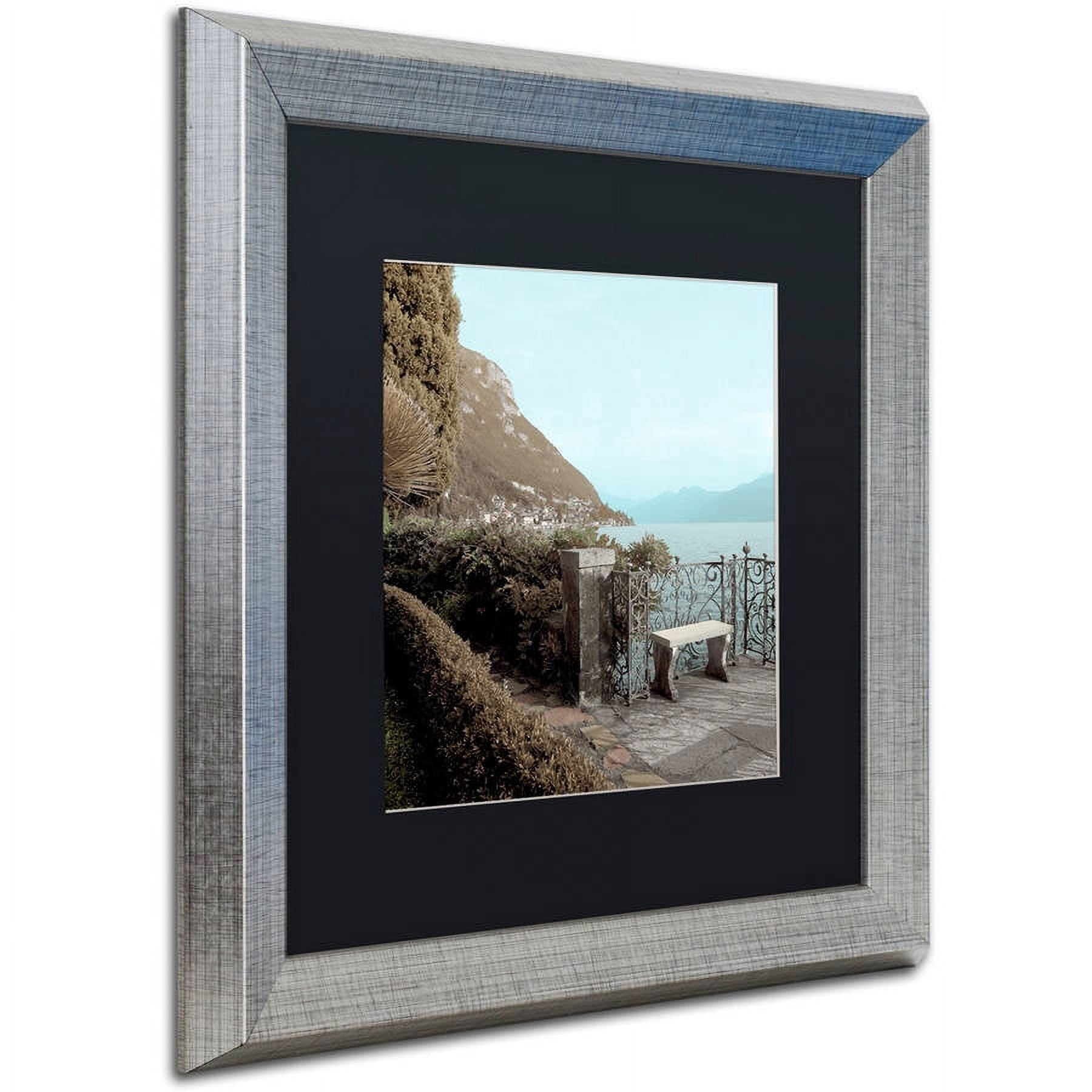 Trademark Fine Art "Lake Vista IV" Canvas Art by Alan Blaustein, Black Matte, Silver Frame