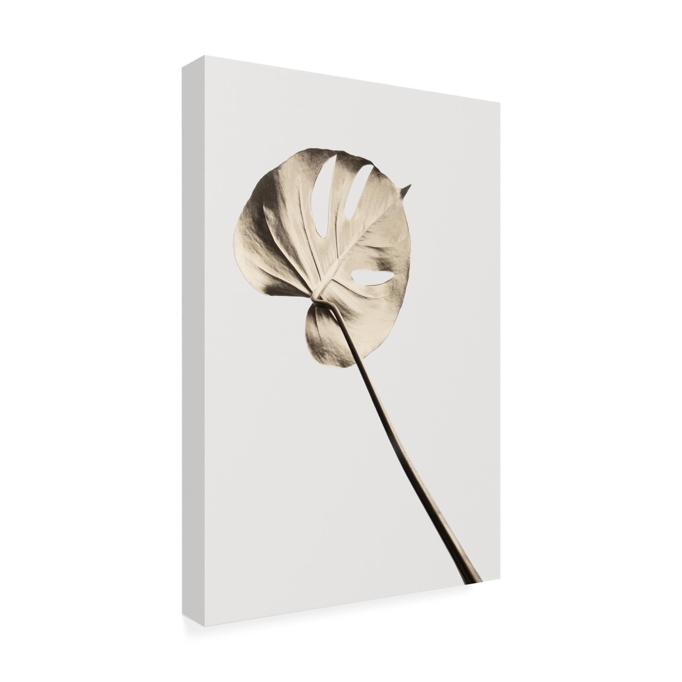 Canvas Wall Art - Pictufy Studio Iii 'Monstera Gold 03' Wall Art for Living Room, Bedroom, or Office D?cor by Trademark Fine Art - 22 x 32 Inches