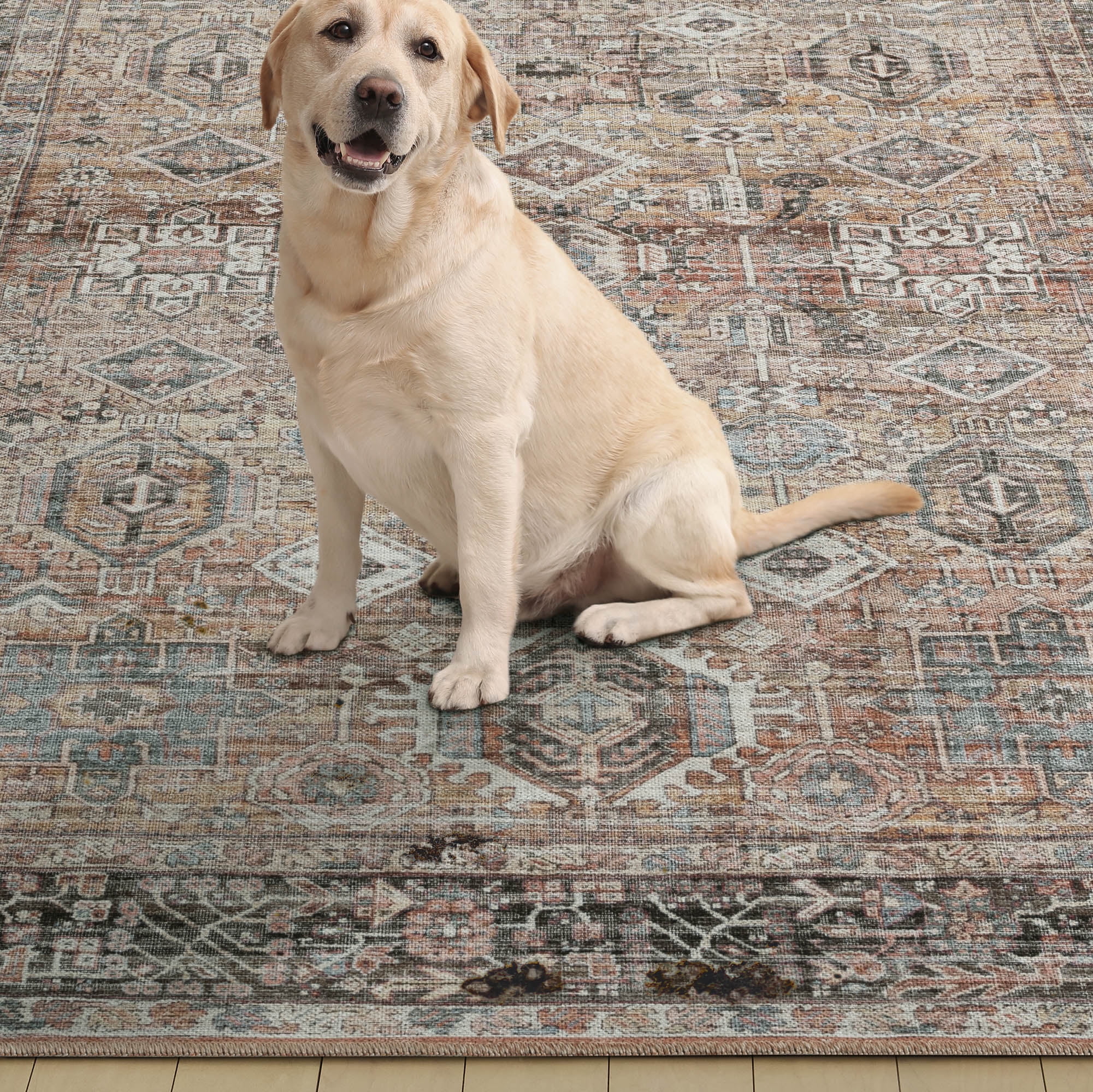 Everwash™ Callaghan Eve Southwestern Medallion Machine Washable Area Rug, Warm Rust, 6'6"x9'2"