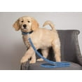 thumbnail image 3 of Pets First NFL Tennesse Titans Heavy Duty and Durable Dogs and Cats Sports Leash - Large, 3 of 4