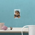 thumbnail image 4 of Yorkie Yorkshire Terrier Dog Resting With Blue Hat Home Business Office Sign, 4 of 7