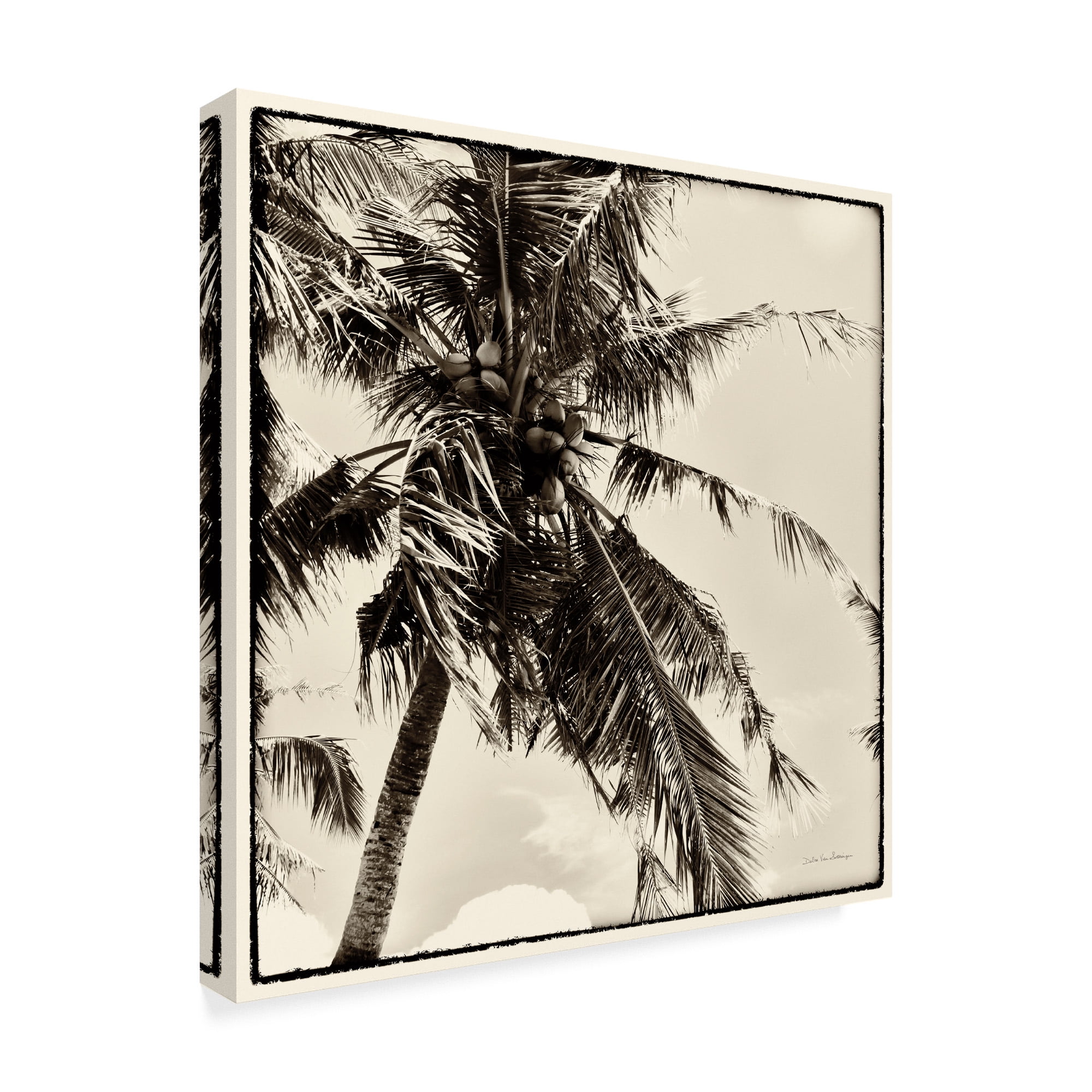 Trademark Fine Art 'Palm Tree Sepia II' Canvas Art by Debra Van Swearingen