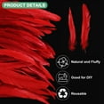 thumbnail image 2 of Uxcell Lot de 50 Plumes pour Bricolage, Plumes Moelleuses Naturelles Rouges de 9,84 à 11,81 Po pour Décorations de Mariage Plumes, 2 of 6