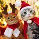 thumbnail image 2 of Disfraz navideño para mascota, gorro navideño para perro y capa de Papá Noel, conjunto para cachorro, disfraz navideño, 2 of 5