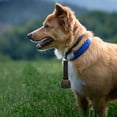 thumbnail image 4 of ELAYARD 2Pcs Goat Collar With Bell Fabric Anti-Theft For Pet Supplies, 4 of 6