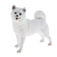 thumbnail image 2 of 2x plástico Shiba Inu modelo de perro estatuilla juguetes educativos decoración de en hogar, 2 of 9