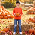 thumbnail image 5 of Abcomgle Boys Long Sleeve Tops 10-12 Casual 3D Print Crewneck Shirts for Kids Boys Fall Basic Boys Tops Cotton Boys Shirts, 5 of 6